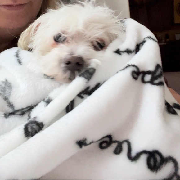 I price2sell&sell2buy - Picture 5 of 13